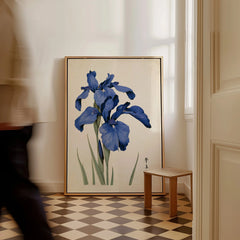 Japanese Iris Flower Art Print – Vintage Botanical Wall Art — framed canvas on floor man walking past