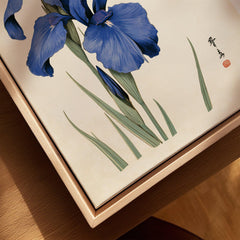 Japanese Iris Flower Art Print – Vintage Botanical Wall Art — closeup framed canvas natural wood floating frame