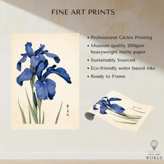 Japanese Iris Flower Art Print – Vintage Botanical Wall Art — fine art print unframed quality details