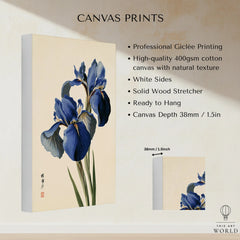 Japanese Blue Iris Wall Art – Vintage Botanical Print — canvas print stretched cotton canvas details