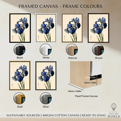 Japanese Blue Iris Wall Art – Vintage Botanical Print — framed canvas float frame colour options