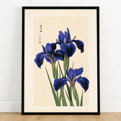 Japanese Iris Flower Print – Vintage Japan Botanical Art — art print in black frame on wooden floor