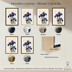 Japanese Iris Flower Print – Vintage Japan Botanical Art — framed canvas float frame colour options