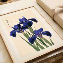 Japanese Iris Flower Print – Vintage Japan Botanical Art — framed art print closeup gift unwrapped natural frame