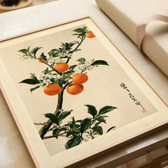 Japanese Orange Art Print – Vintage Fruit & Blossom Wall Art — framed art print closeup gift unwrapped natural frame