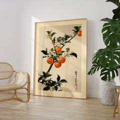 Japanese Orange Art Print – Vintage Fruit & Blossom Wall Art — large framed print room setting chair plant