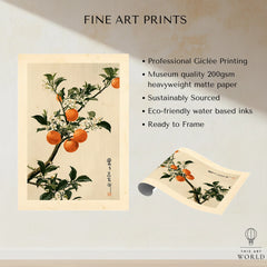 Japanese Orange Art Print – Vintage Fruit & Blossom Wall Art — fine art print unframed quality details
