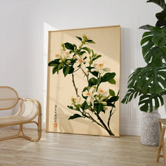 Japanese Orange Blossom Wall Art – Vintage Flower Print — large framed print room setting chair plant