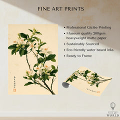 Japanese Orange Blossom Wall Art – Vintage Flower Print — fine art print unframed quality details