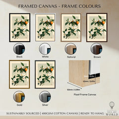Japanese Citrus Art Print – Orange Blossom Botanical Wall Art — framed canvas float frame colour options
