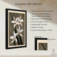 White Orchid Art Print – Vintage Japanese Botanical Wall Art — framed print details measurements quality details