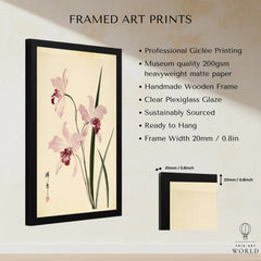 Pink Orchid Art Print – Vintage Japanese Botanical Wall Art — framed print details measurements quality details