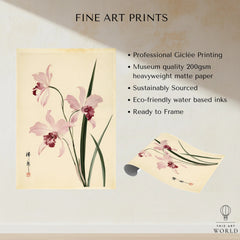 Pink Orchid Art Print – Vintage Japanese Botanical Wall Art — fine art print unframed quality details