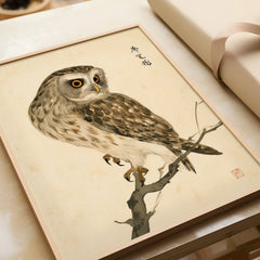 Japanese Owl Art Print – Vintage Botanical Bird Wall Art — framed art print closeup gift unwrapped natural frame