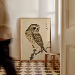 Japanese Owl Art Print – Vintage Botanical Bird Wall Art — framed canvas on floor man walking past
