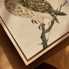 Japanese Owl Art Print – Vintage Botanical Bird Wall Art — closeup framed canvas natural wood floating frame