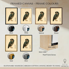 Japanese Owl Wall Art – Minimal Vintage Art Print — framed canvas float frame colour options