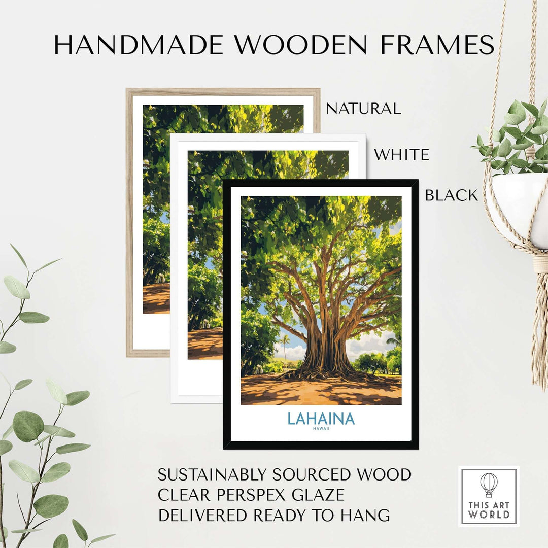 Lahaina Banyan Tree wall art displayed in natural, white, and black handmade wooden frames, ready to hang.