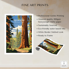 Redwood National Park Poster showcasing a scenic view of majestic redwood trees in vibrant colors.