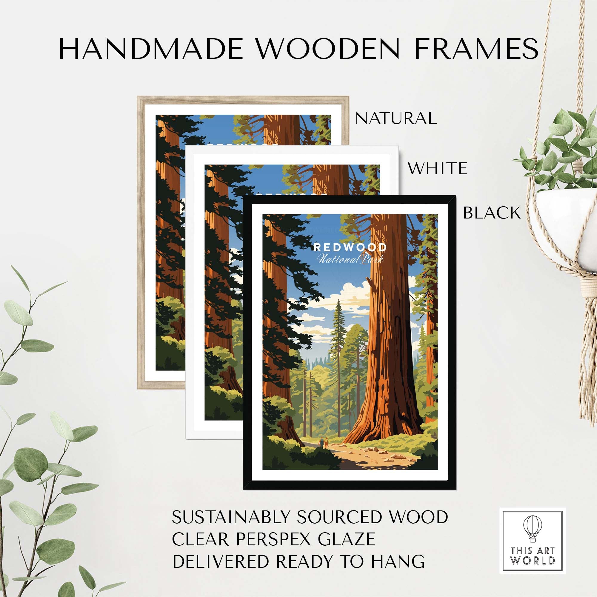 Handmade wooden frames in natural, white, and black for the Redwood National Park Poster, ready to hang.