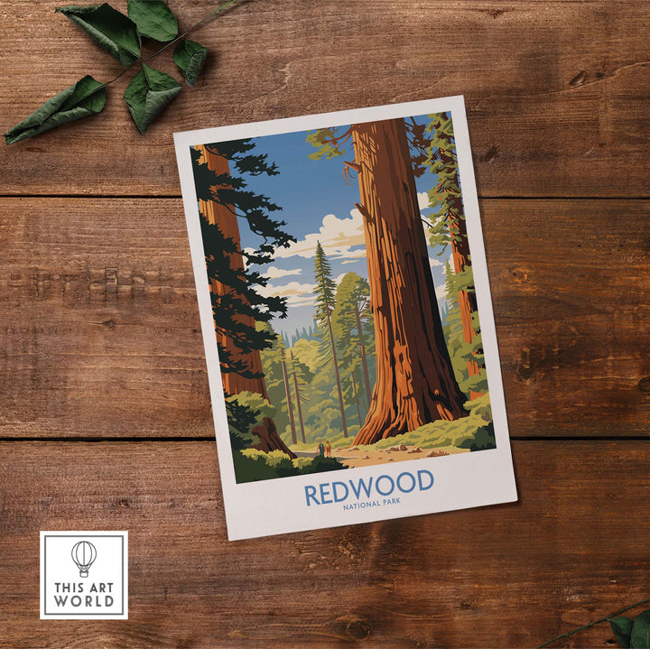 Redwood National Park Print