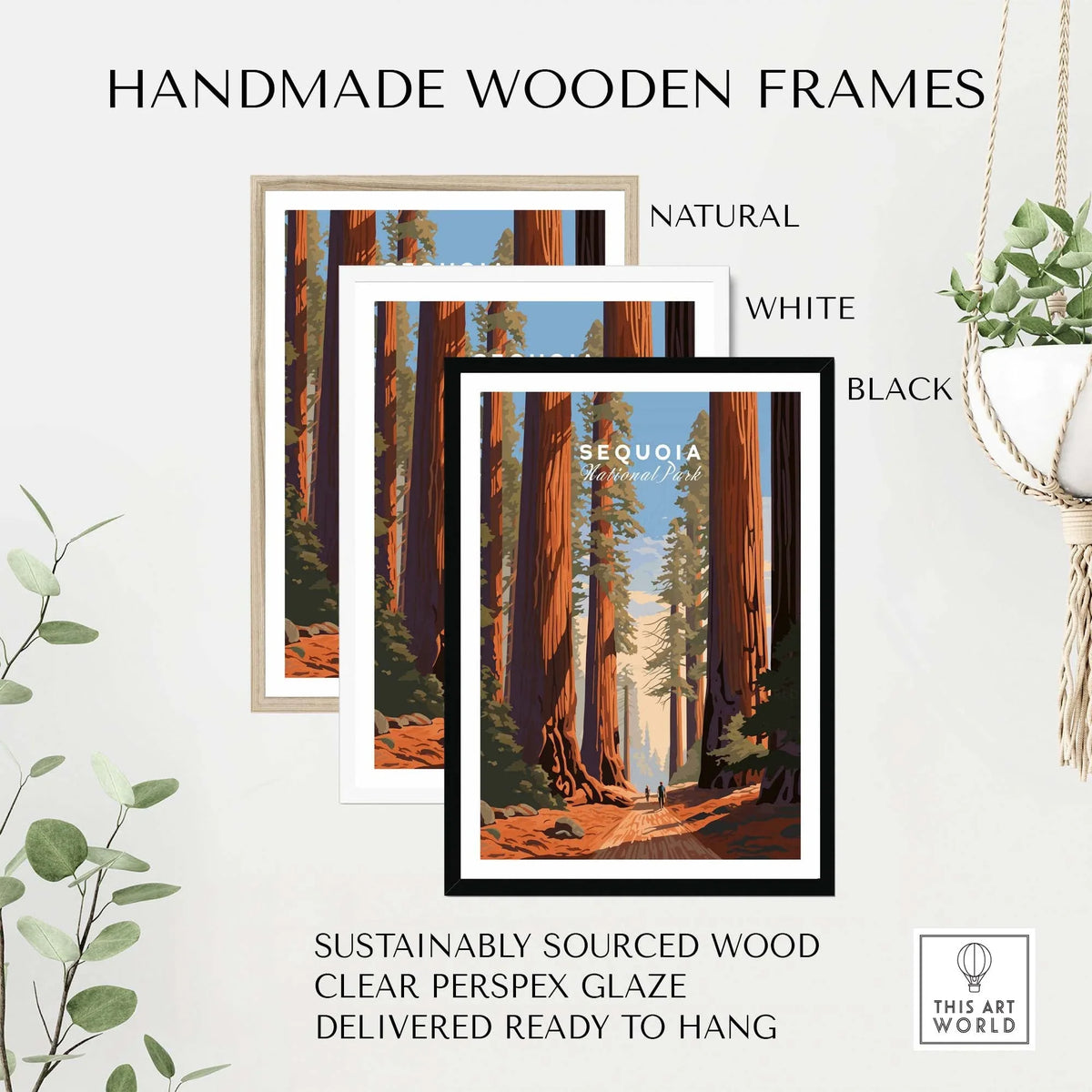 Sequoia Poster | National Park in handmade wooden frames, showcasing natural, white, and black options, sustainably sourced.