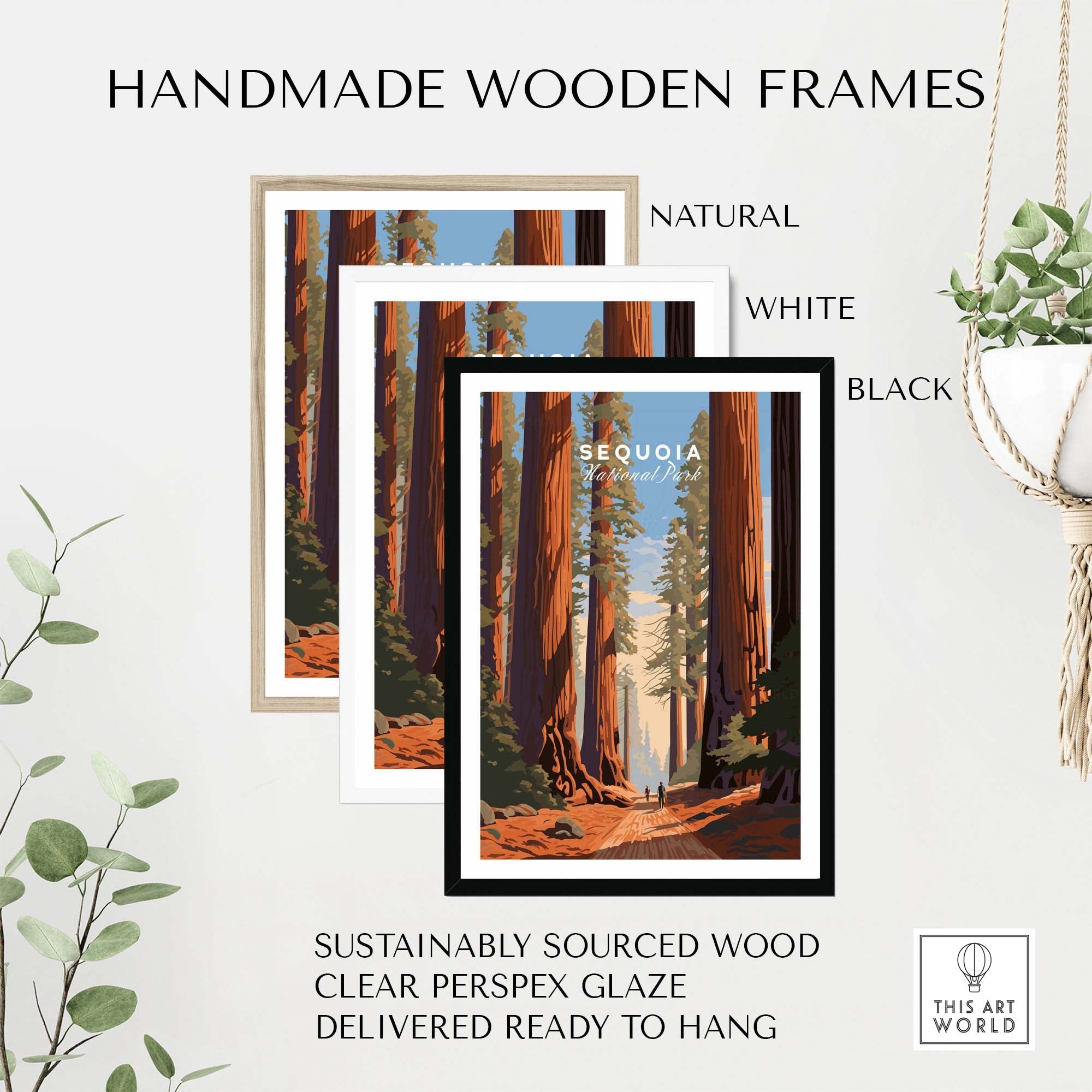 Sequoia Poster | National Park in handmade wooden frames, showcasing natural, white, and black options, sustainably sourced.