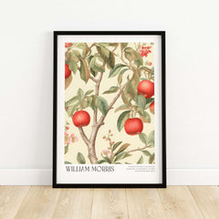 William Morris Prints - Apple Tree Fruit Botanical Art Print - Orchard Blossom Poster featuring red apples on a tree.