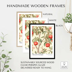 William Morris Prints - Apple Tree Fruit Botanical Art Print - Orchard Blossom Poster in handmade wooden frames.