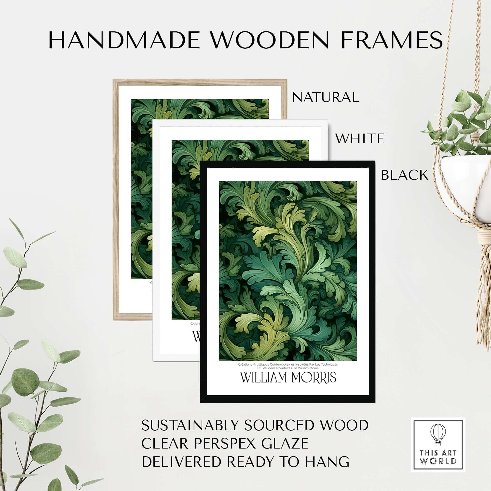 William Morris Prints - Green Acanthus Swirl Pattern Art Print - Botanical Foliage Poster displayed in handmade wooden frames.