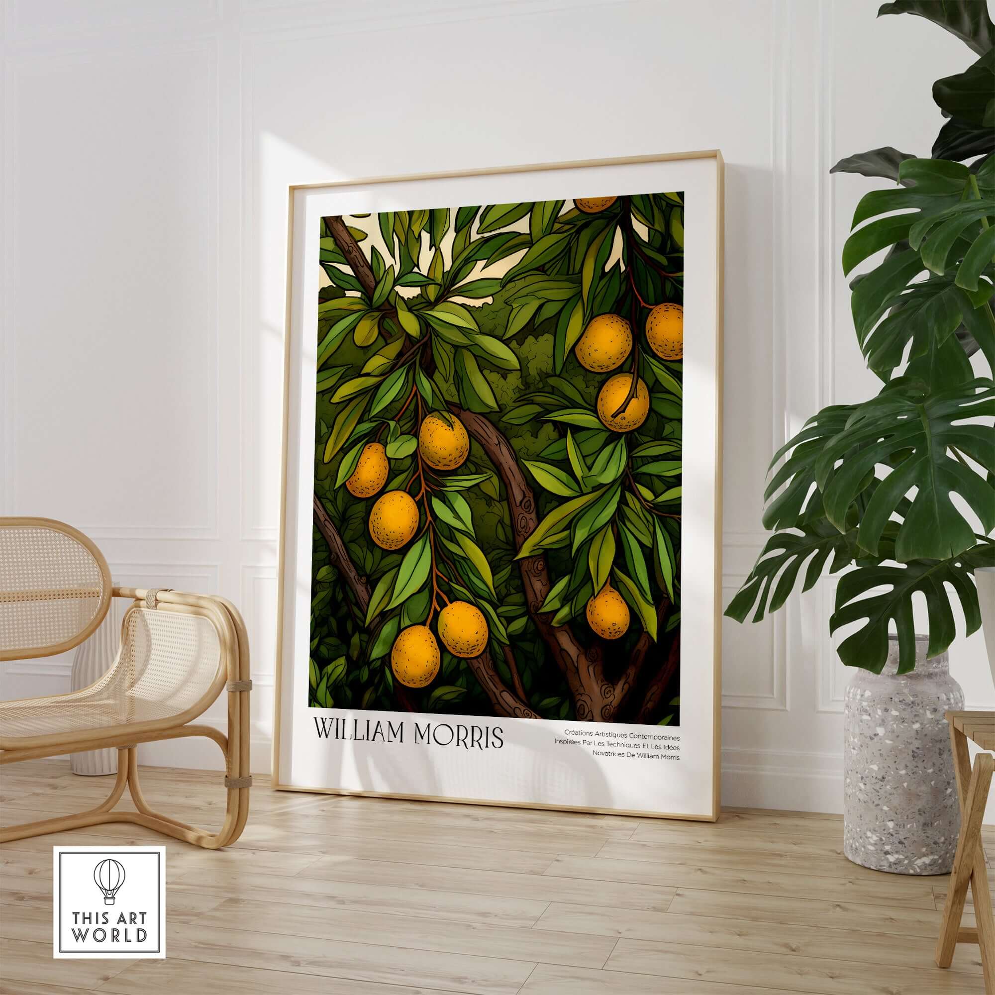 William Morris Prints - Illustrated Orange Tree Art Print - Botanical Fruit Poster displayed in a chic interior with green leaves.