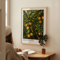 William Morris Prints - Illustrated Orange Tree Art Print - Botanical Fruit Poster displayed on a wall with a person reading.