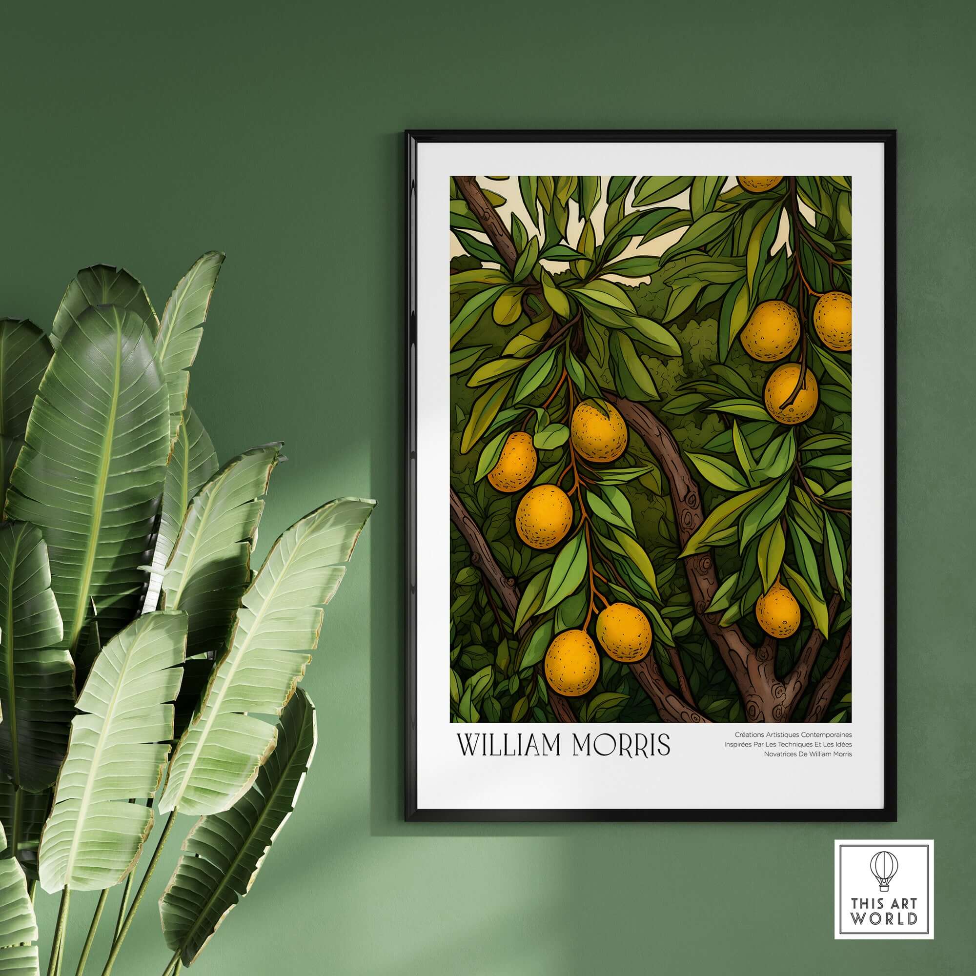 William Morris Prints - Illustrated Orange Tree Art Print - Botanical Fruit Poster on green wall with plant