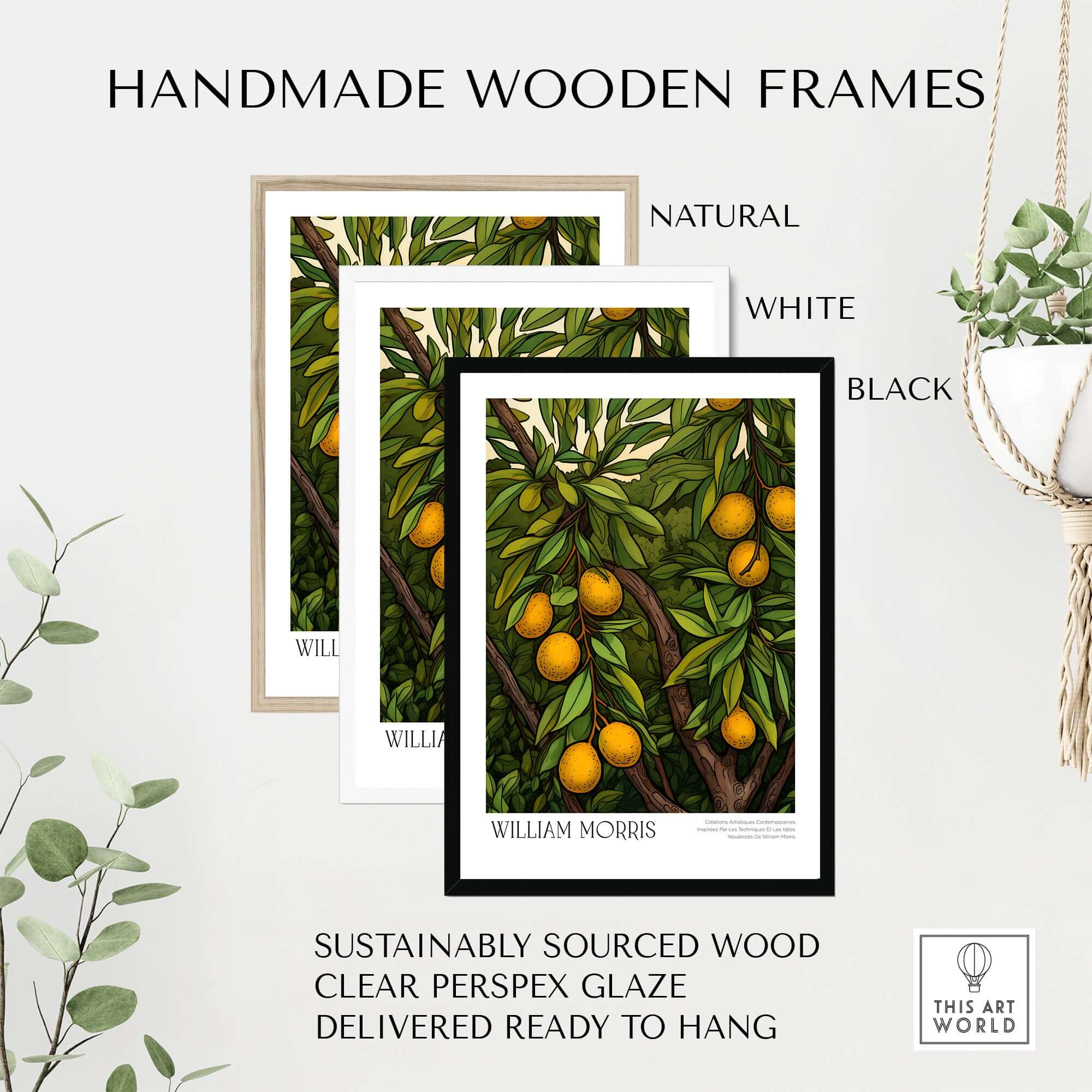 Handmade wooden frames in natural, white, and black for William Morris Prints - Illustrated Orange Tree Art Print - Botanical Fruit Poster.