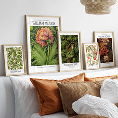 William Morris Prints - Large Floral Bloom Art Print - Botanical Poppy Poster displayed on a cozy wall with decorative pillows.
