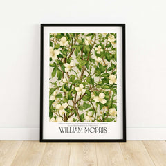 William Morris Prints - White Blossom Branch Art Print - Exhibition Poster, featuring white blossoms and green leaves.
