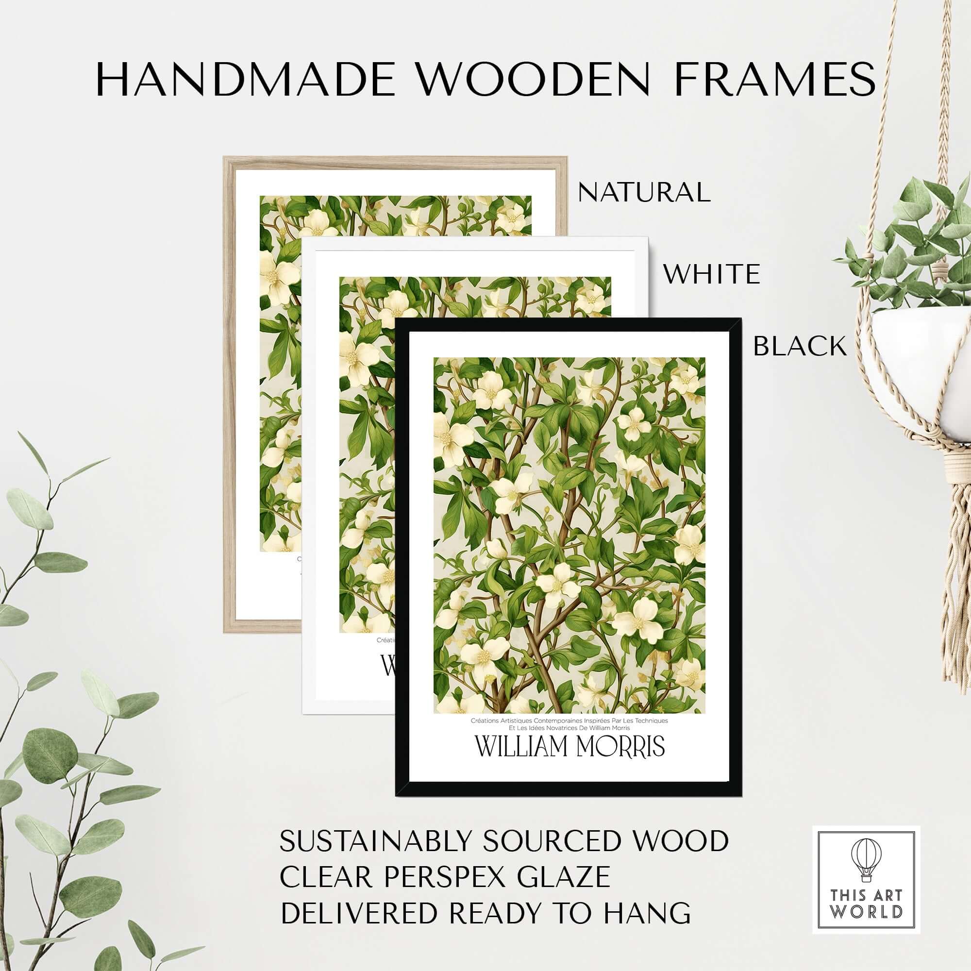 William Morris Prints - White Blossom Branch Art Print - Exhibition Poster displayed in handmade wooden frames.