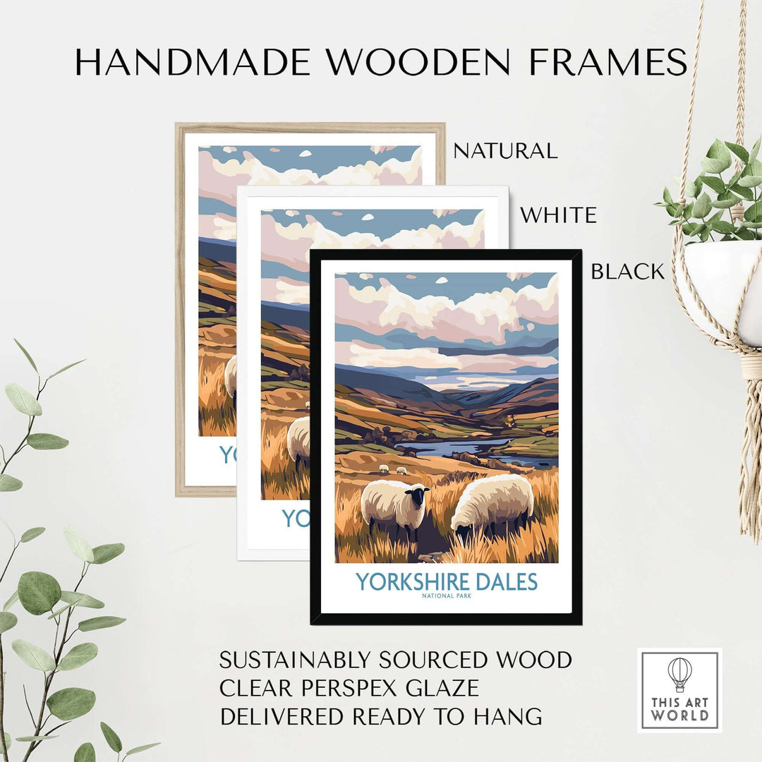 Handmade wooden frames in natural, white, and black showcasing Yorkshire Dales poster with grazing sheep and scenic landscapes.