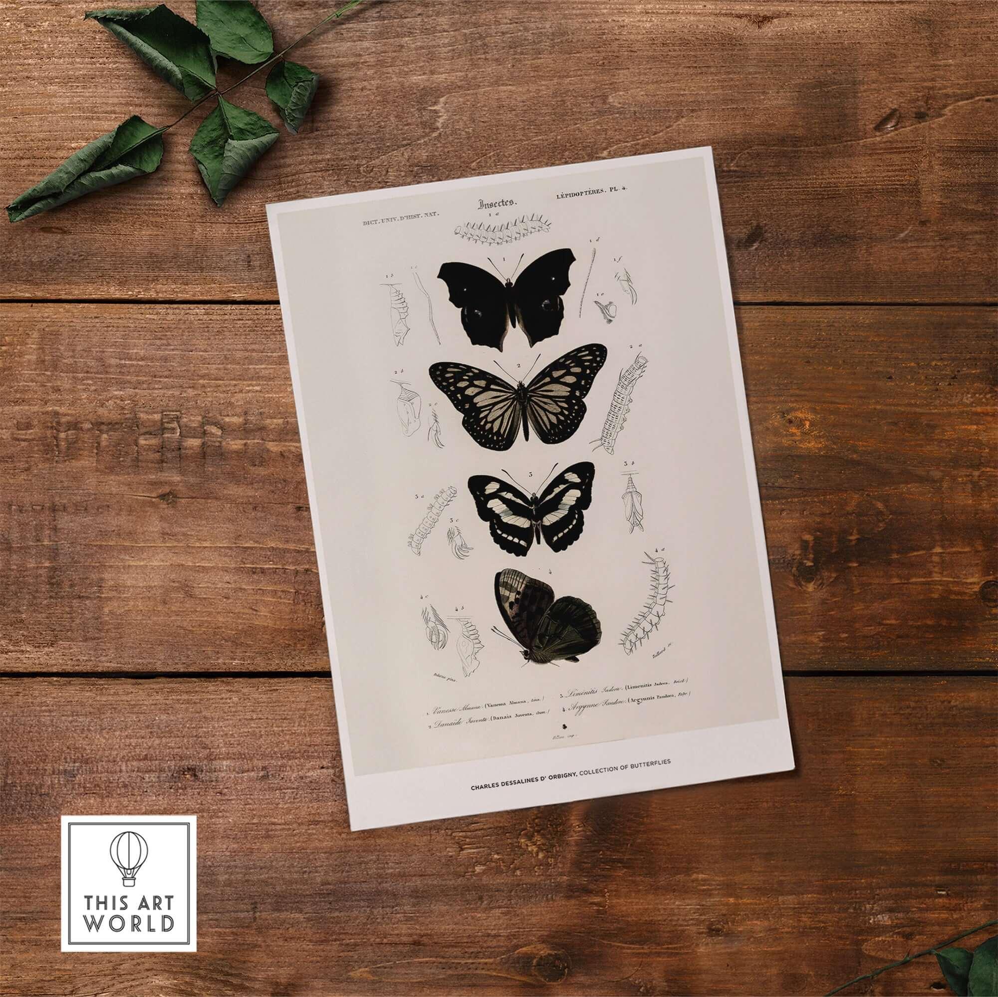 Exhibition Art Print Charles d'Orbigny Butterflies Vintage Entomology Poster Wall Art featuring detailed butterfly illustrations