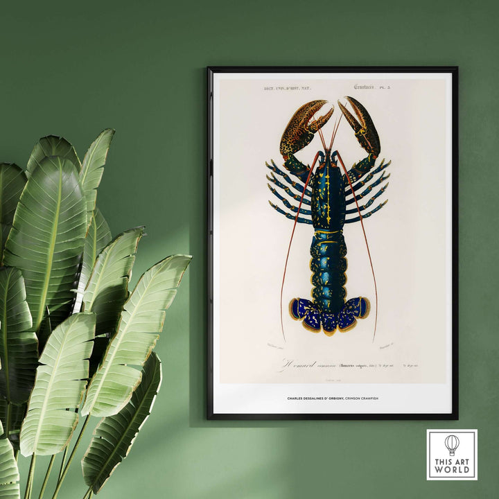 Framed vintage crimson crawfish illustration by Charles d'Orbigny on green wall with plant decor.