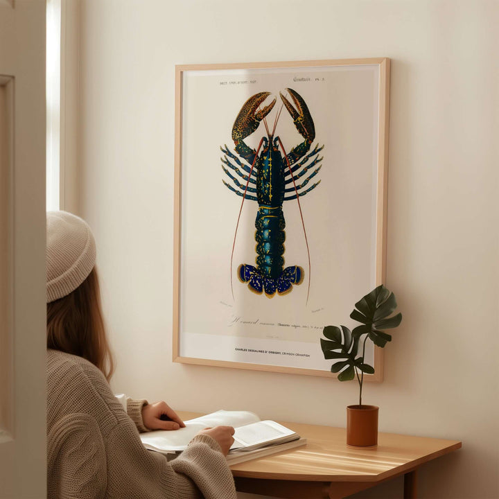 Exhibition art print of a detailed lobster illustration by Charles d'Orbigny, displayed in a cozy room.