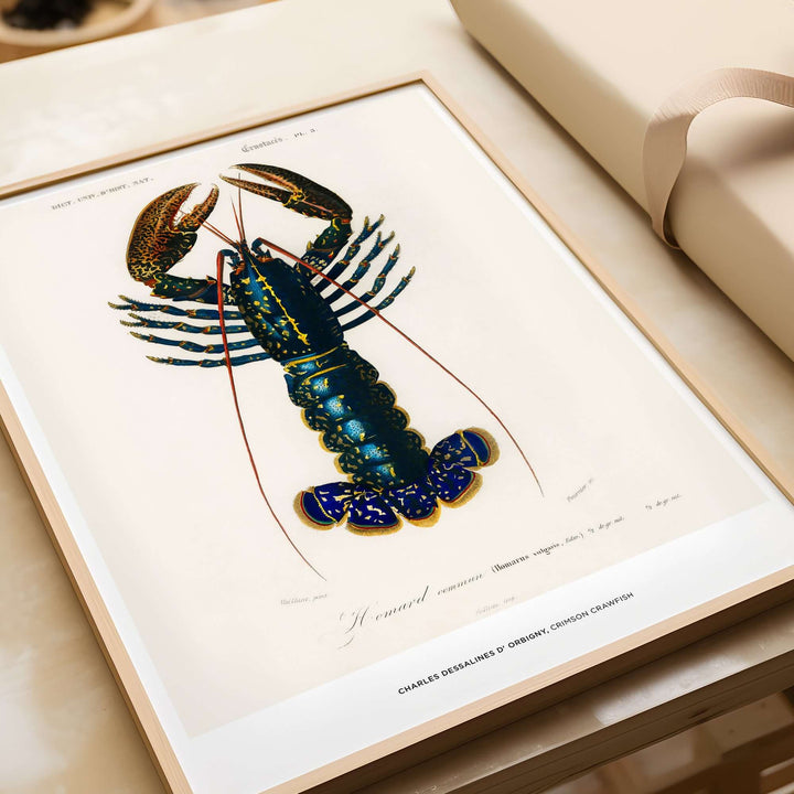 Vintage Charles d'Orbigny crab illustration featuring a detailed Crimson Crawfish wall art design.