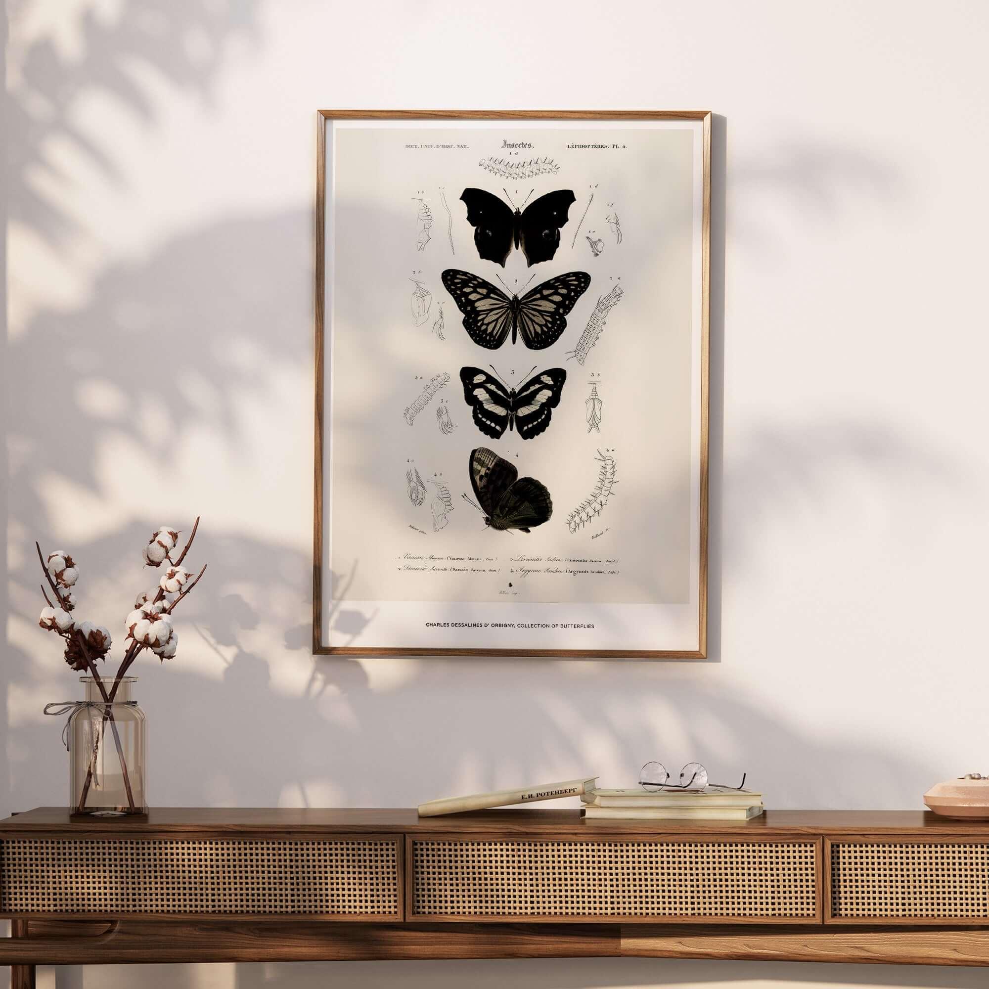 Exhibition Art Print Charles d'Orbigny Butterflies Vintage Entomology Poster Wall Art displayed above a wooden console.