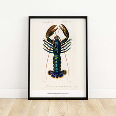 Exhibition Art Print Charles d'Orbigny Crimson Crawfish Vintage Lobster Illustration Wall Art