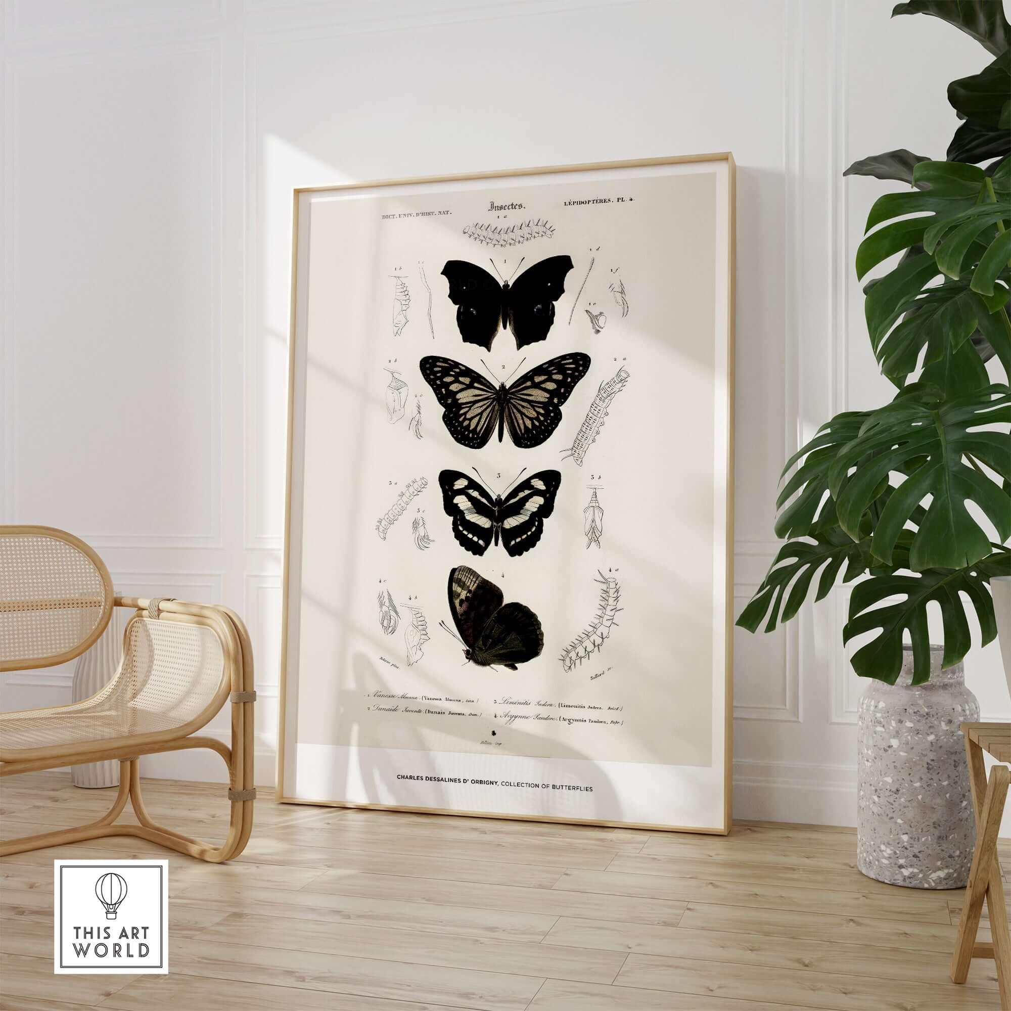 Exhibition Art Print Charles d'Orbigny Butterflies Vintage Entomology Poster Wall Art displayed in a modern interior.