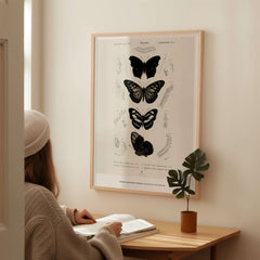 Exhibition Art Print Charles d'Orbigny Butterflies Vintage Entomology Poster Wall Art displayed in a cozy room.