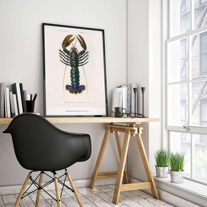 Vintage lobster illustration wall art by Charles d'Orbigny displayed in a modern home office.