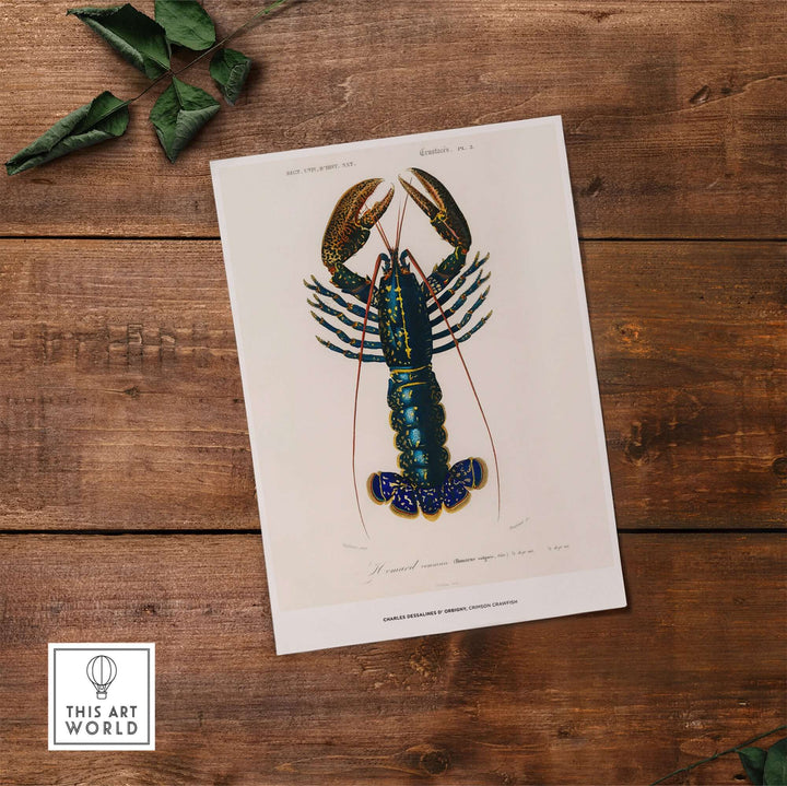 Vintage illustration of a Crimson Crawfish by Charles d'Orbigny on a wooden background.