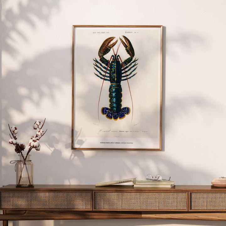Framed vintage illustration of a lobster by Charles d'Orbigny, showcasing detailed marine life art.