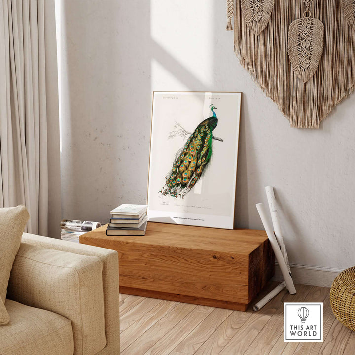 Exhibition art print of Indian Peafowl by Charles d'Orbigny in a stylish living room setting.